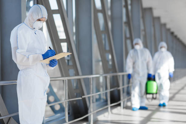 Best Mold Odor Removal Services  in Ormond By The Sea, FL