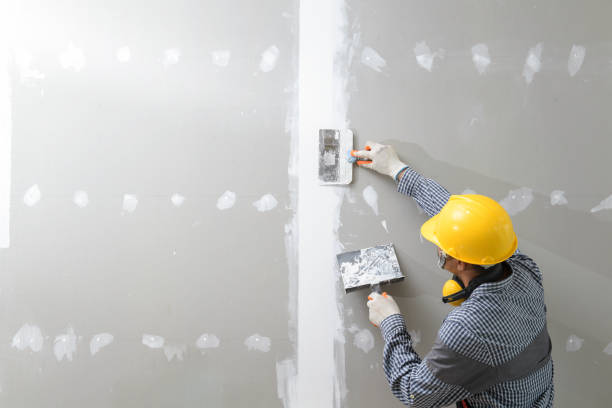Best Mold Documentation for Insurance Claims  in Ormond By The Sea, FL